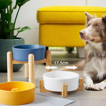 Keramik-Schnellfutternapf für Hunde