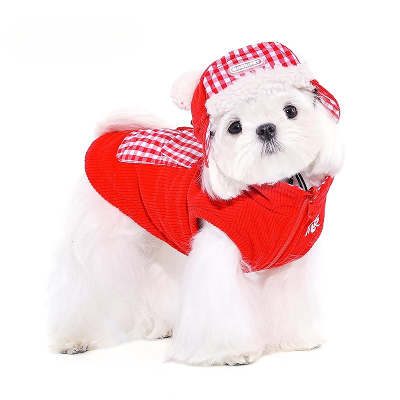 Dog Winter Beret Hat