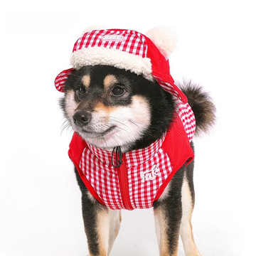 Dog Winter Beret Hat