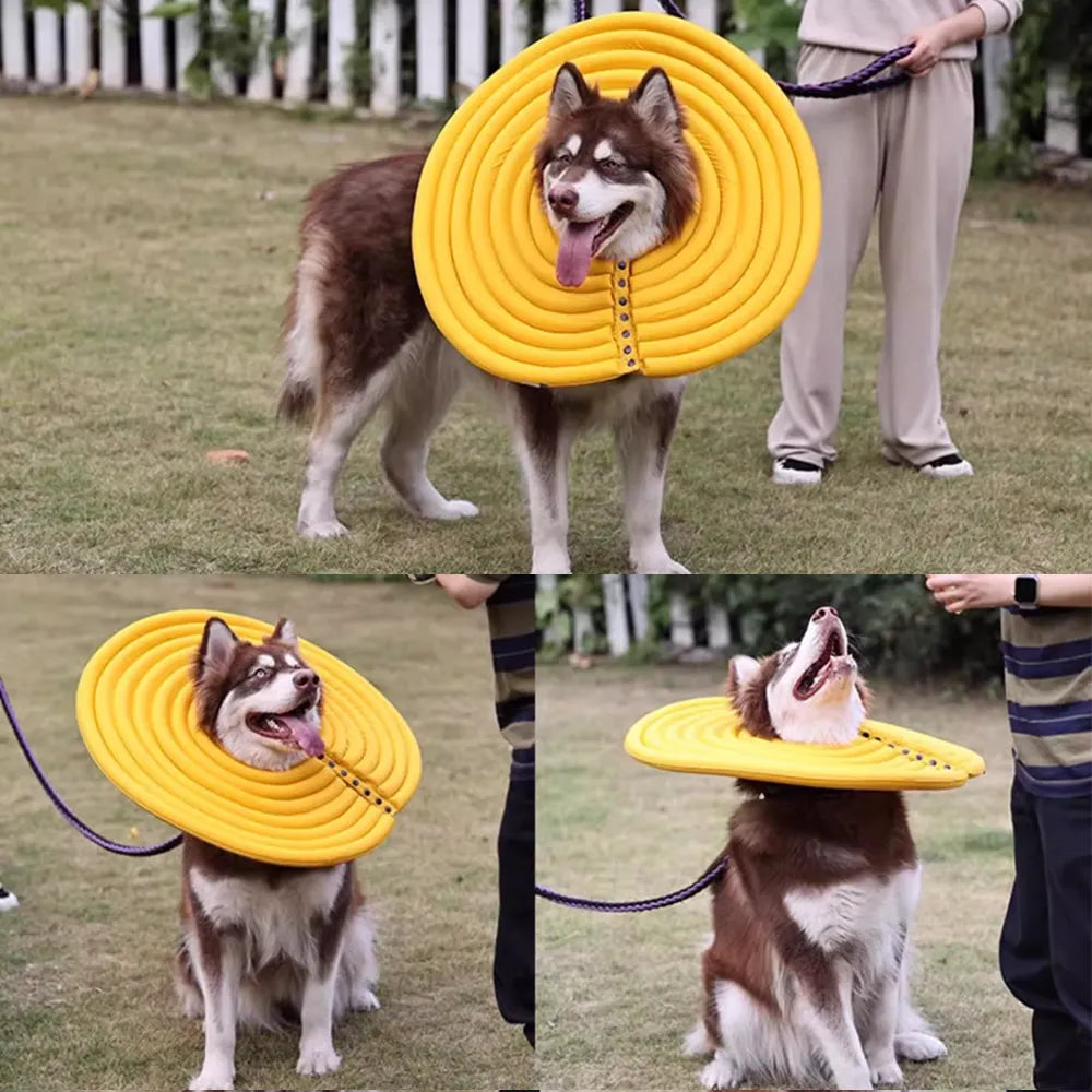 Extra Large Dog Elizabethan Collar