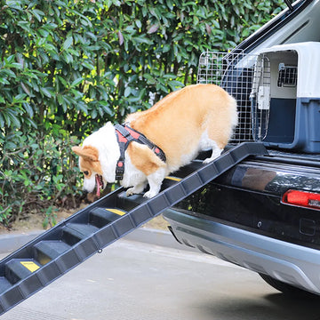 Klappbare Hundetreppe für den Kofferraum