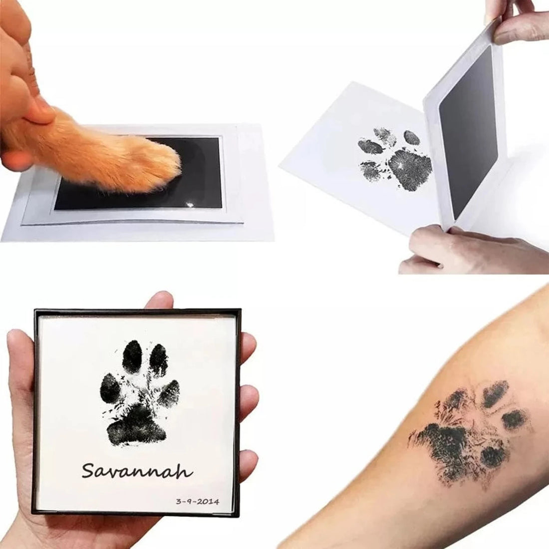Dog Paw Print Kit