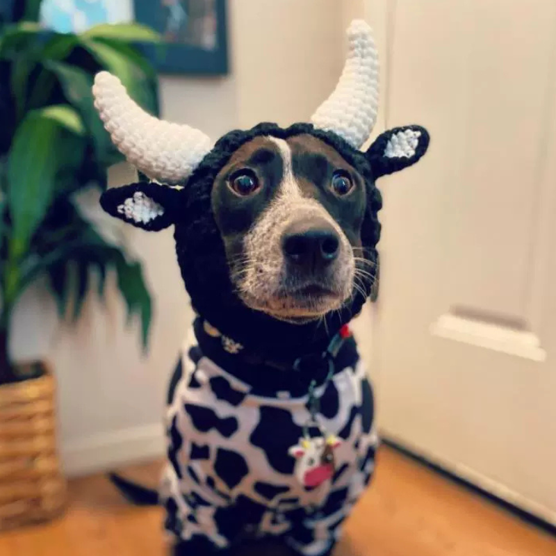 Playful Dog Cosplay Hood