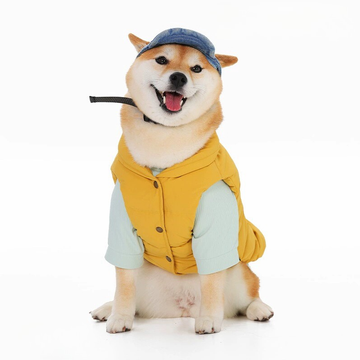 Standard Dog Puffer Jacket for Small and Medium Dog