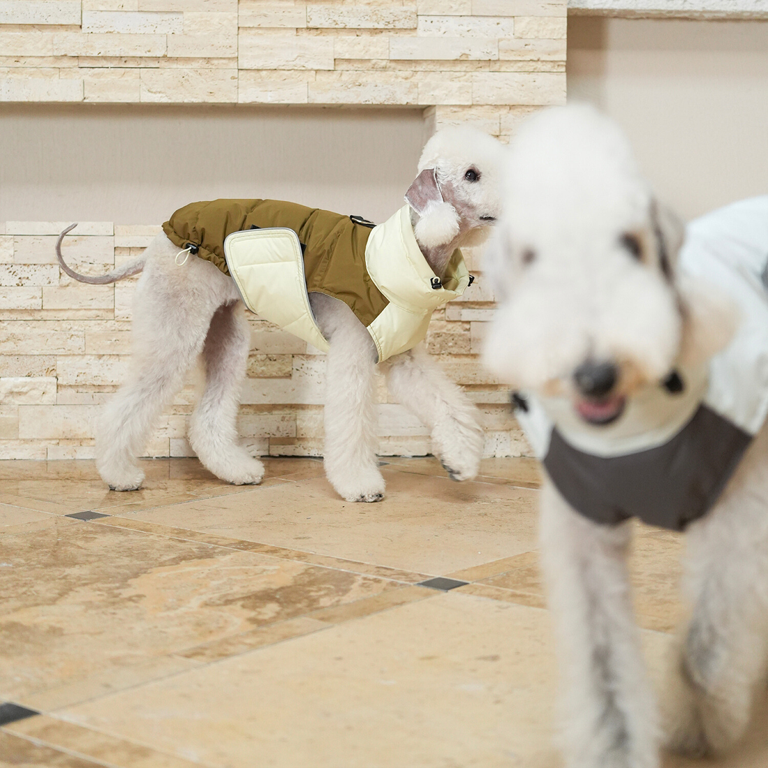 Premium High-Neck Dog Puffer Vest