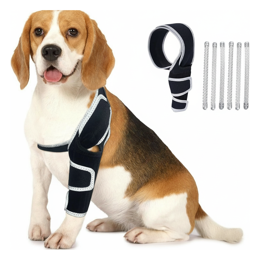 Best Dog ACL Brace for Strong Support – Reinforced Knee Stability