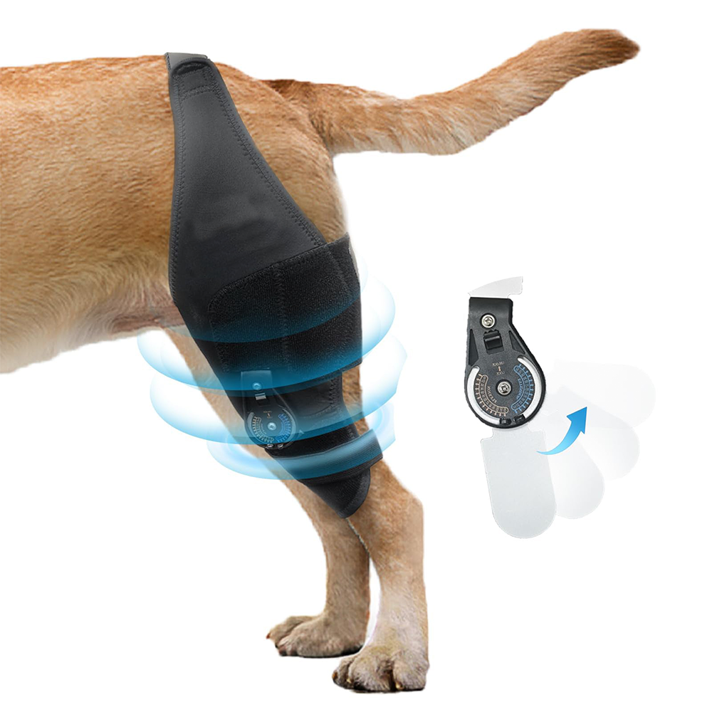 Single Leg Dog ACL Brace with Adjustable Hinge for Joint Support