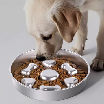 Slow Feeder-Napf aus Edelstahl