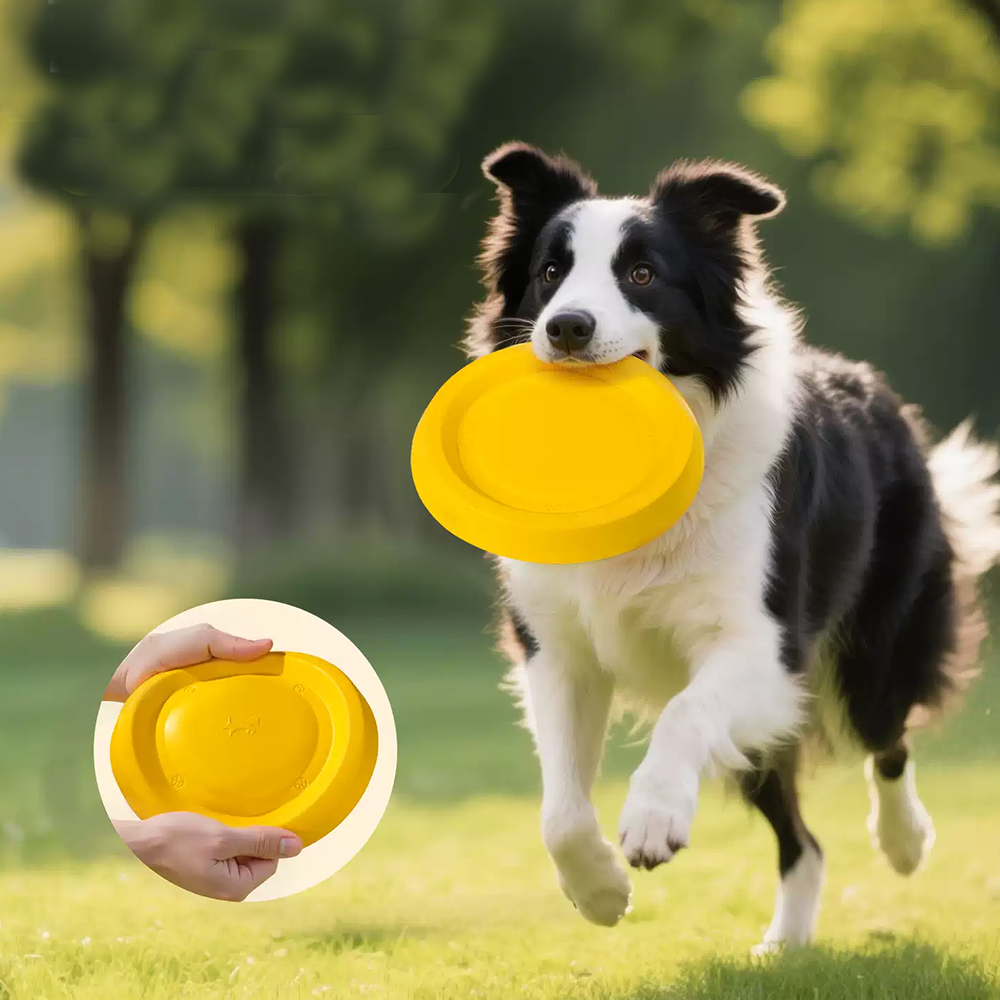All-Terrain Floating Dog Disc