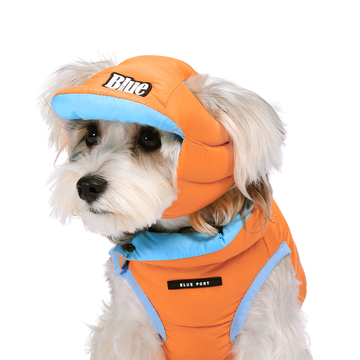 Dog Winter Puffer Hat