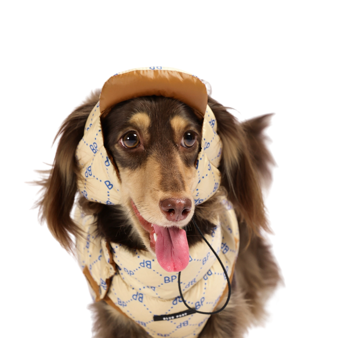 Dog Winter Puffer Hat