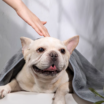 Extra Large Quick-Dry Dog Towel