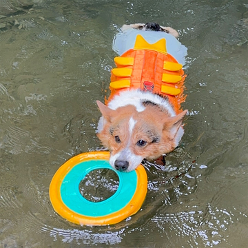 Floating Dog Disc