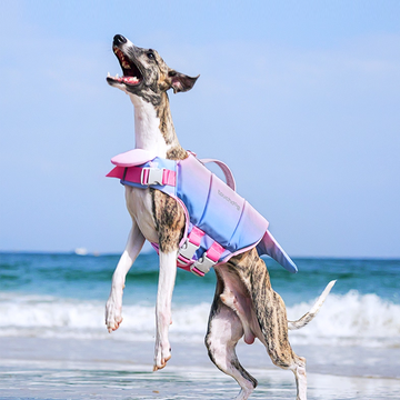 Mermaid Style Dog Life Jacket