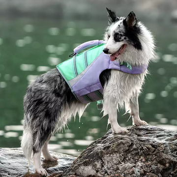 Sporty Dog Life Jacket