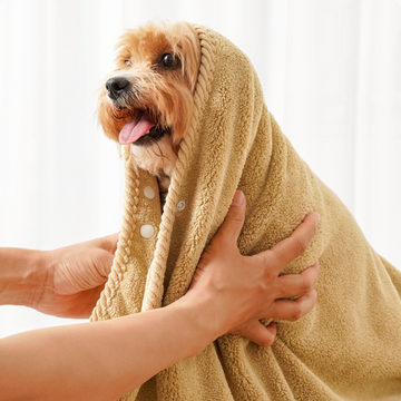 QuickDry Press Dog Towel