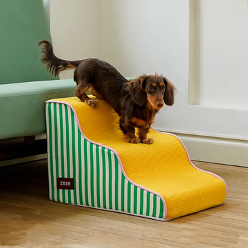 Small dog using non-slip dog steps beside a couch