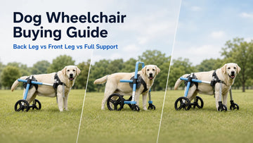 Dog wheelchair buying guide comparison for back leg, front leg, and full support wheelchairs
