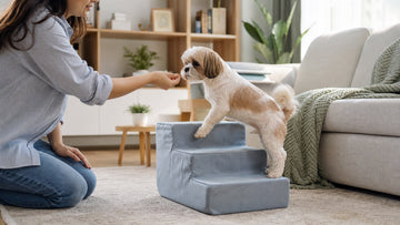Caregiver training a small dog to use soft indoor dog steps with a treat