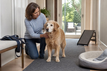 Caregiver with a senior dog beside a lift harness, ramp, and low bed on a nonslip home route