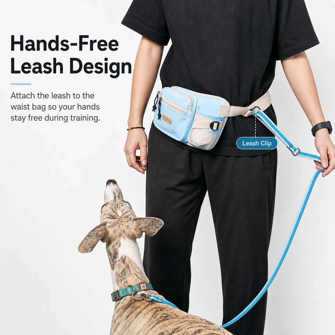 Pawsbetter Leash-Ready Dog Training Waist Bag, lightweight waist bag with bottle holder and divided storage for dog training, compact spacious storage feature detail