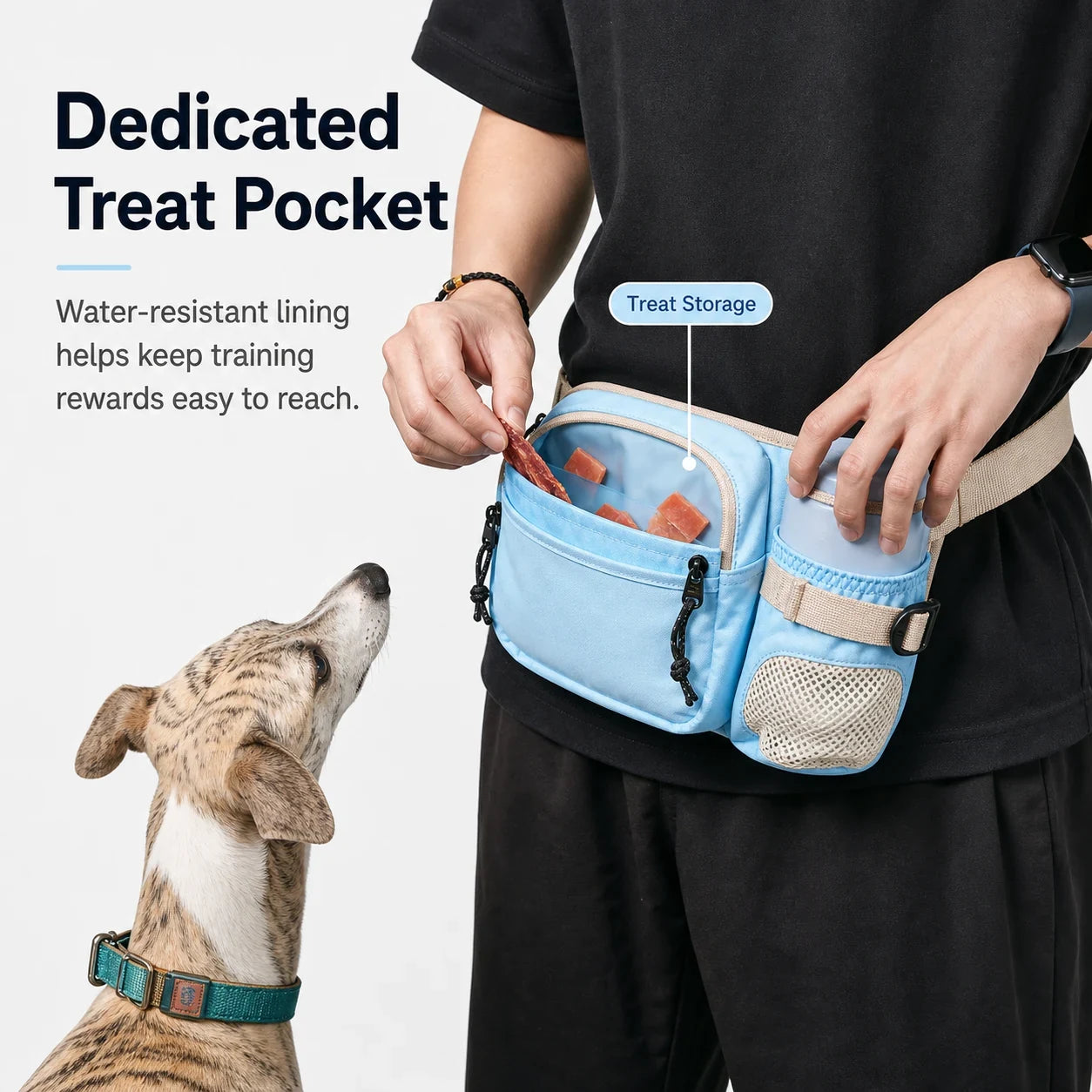 Pawsbetter Leash-Ready Dog Training Waist Bag, lightweight waist bag with bottle holder and divided storage for dog training, dedicated treat pocket feature detail