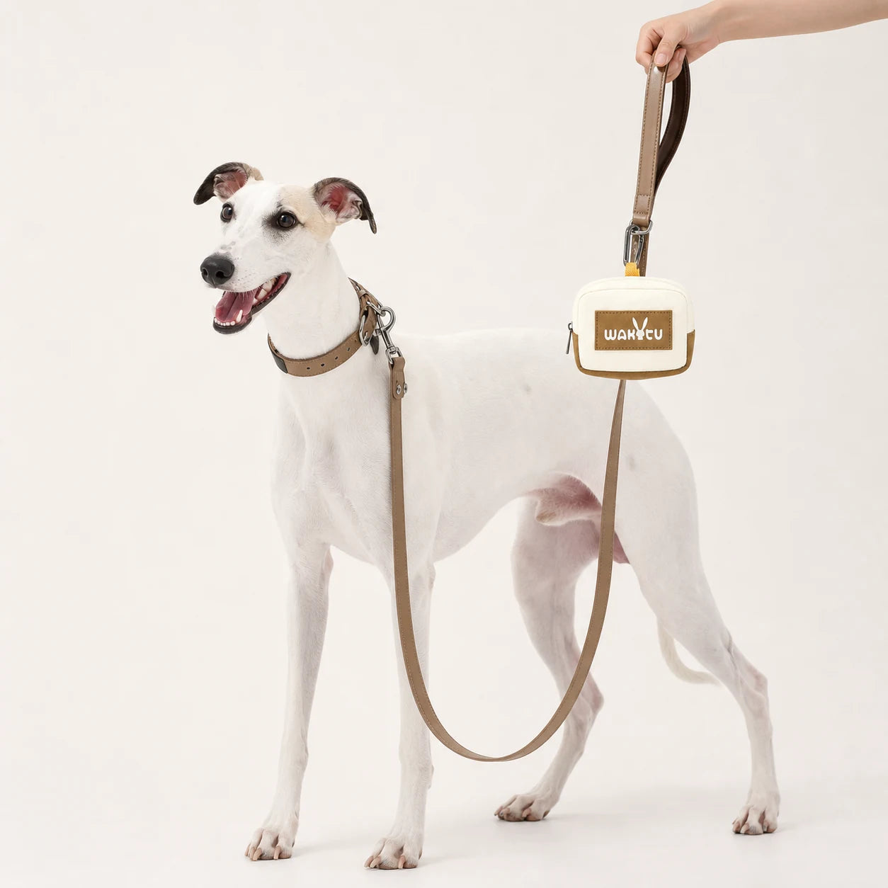 Pawsbetter Clip-On Dog Waste Bag Holder, compact square poop bag holder for leashes and walking bags, dog leash holder lifestyle