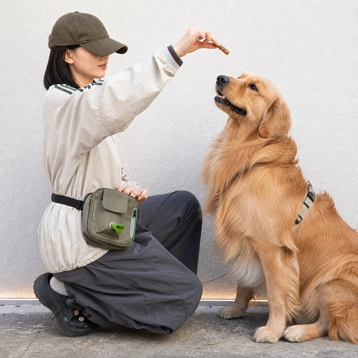 Pawsbetter Multi-Pocket Dog Training Treat Pouch, organized treat pouch with magnetic opening for dog training, training reward golden retriever