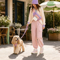 Pawsbetter Magnetic-Closure Dog Walking Bag, compact treat and essentials bag for dog walks, outdoor walk pastel spaniel