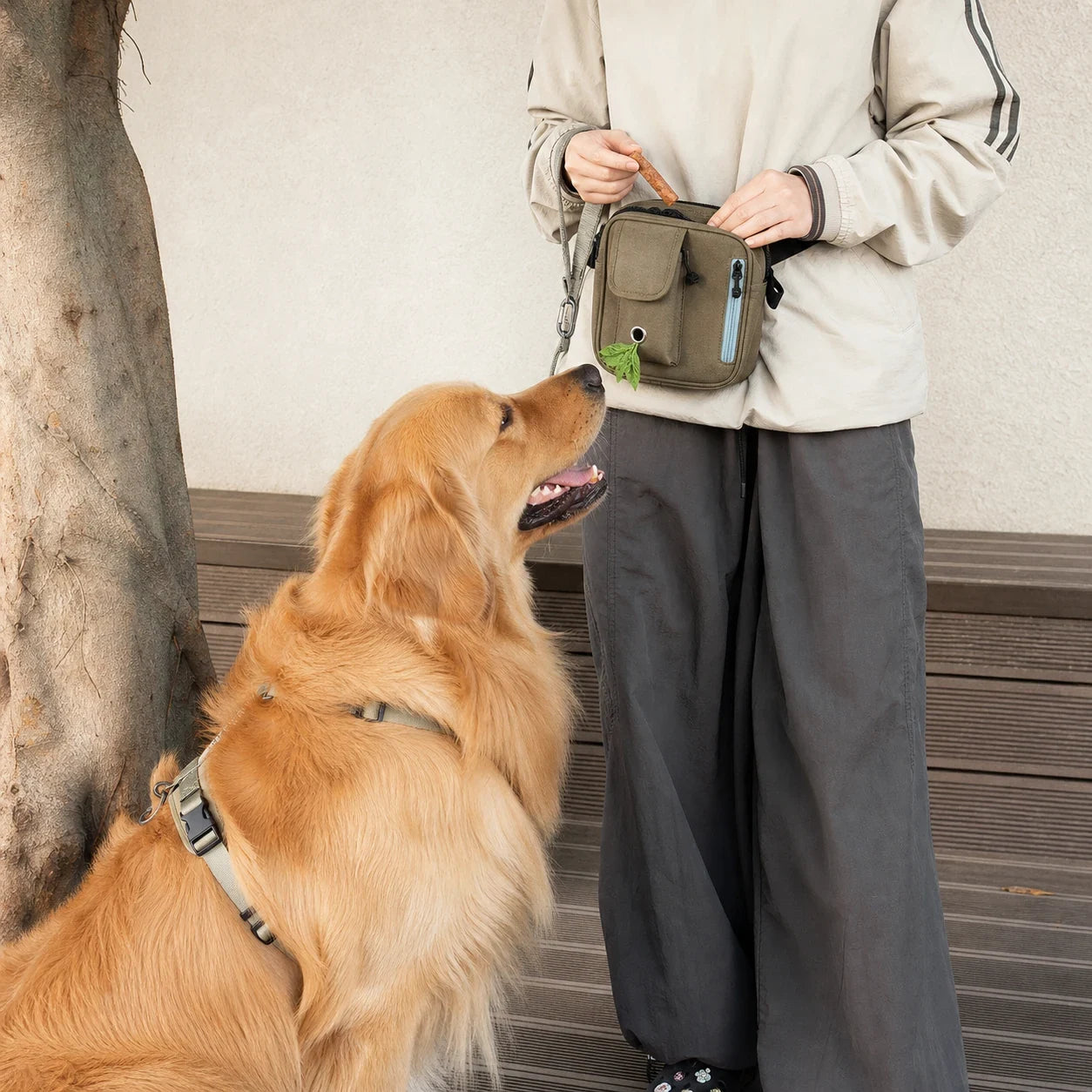 Pawsbetter Multi-Pocket Dog Training Treat Pouch, organized treat pouch with magnetic opening for dog training, treat ready golden retriever