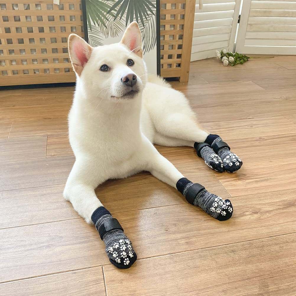 white dog wearing black non-slip socks lying on the floor