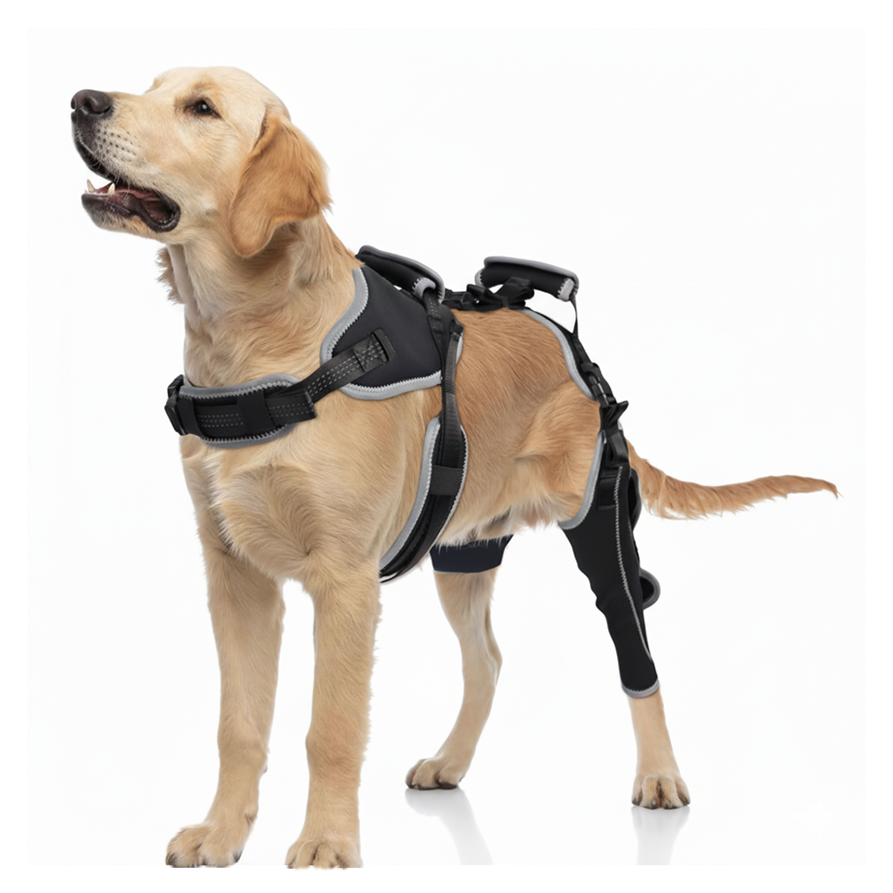 Adjustable Dog ACL Knee Brace – Single/Dual Leg Support