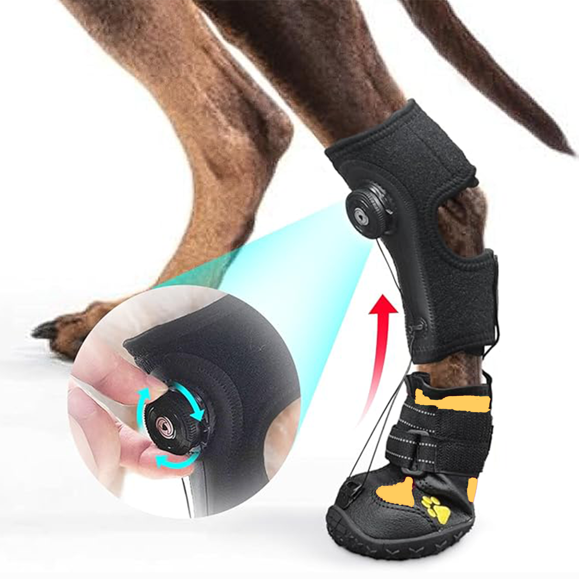 Adjustable Dog Knuckling Brace