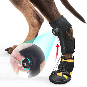 Adjustable Dog Knuckling Brace