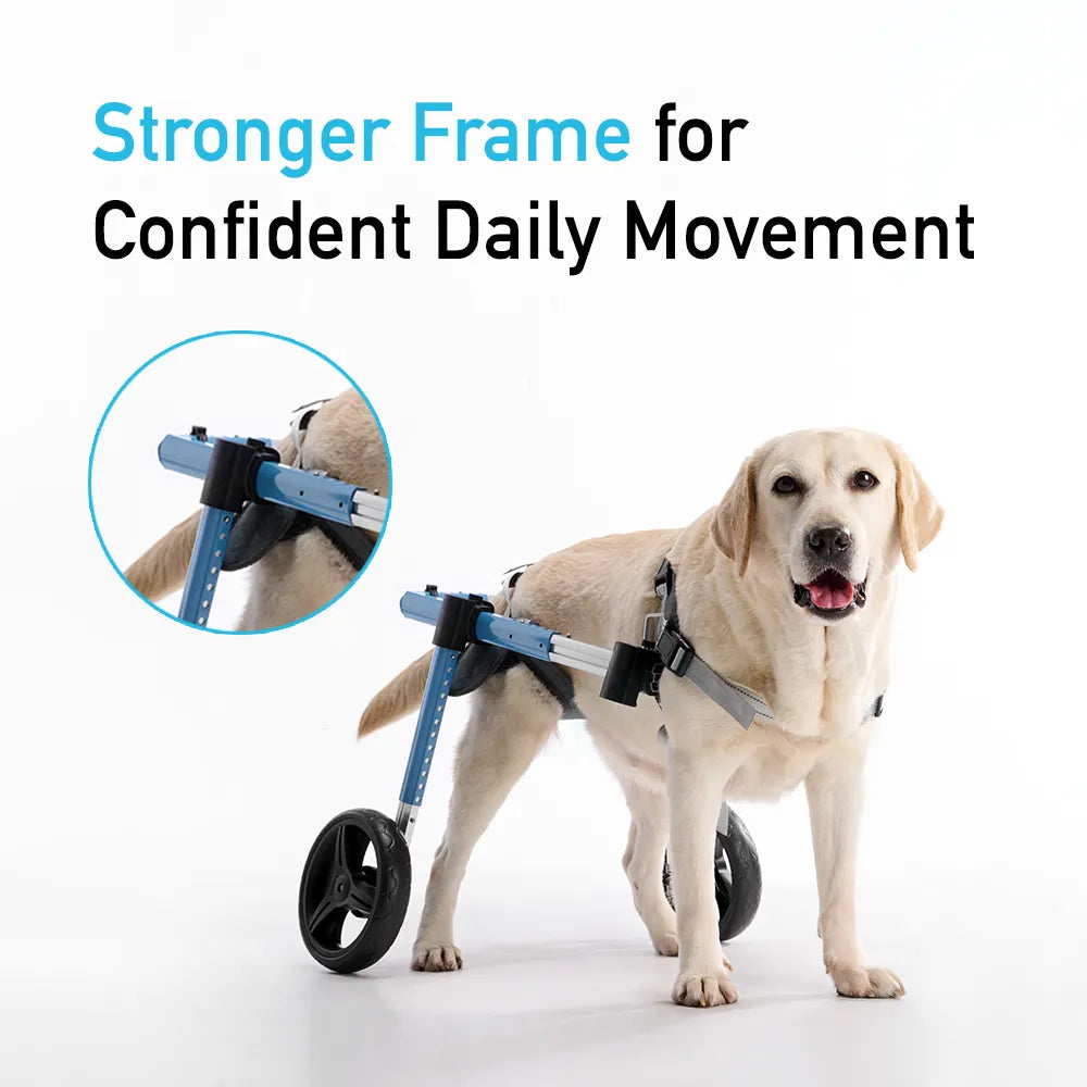 Back Leg Dog Wheelchair <sup>PRO</sup>