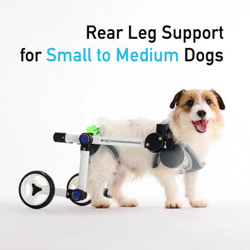 Back Leg Dog Wheelchair <sup>CORE</sup>