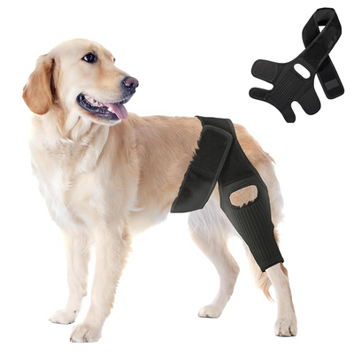 Everyday Dog ACL Knee Brace