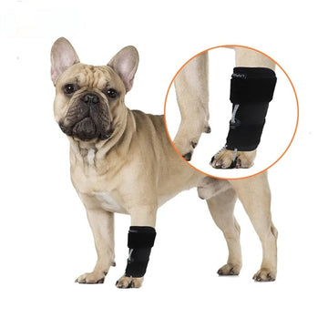 Everyday Dog Knuckling Brace