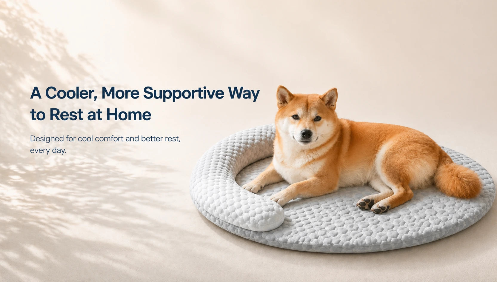 slider image slider_item_BmkYpU