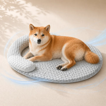 Cooling Dog Bed with Neck Pillow