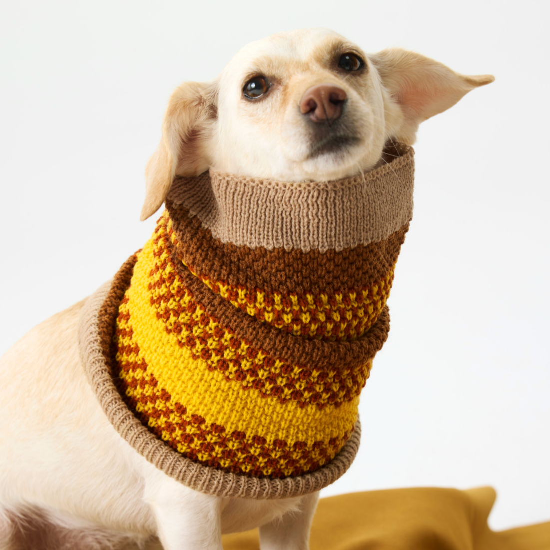 Cozy Dog Snood