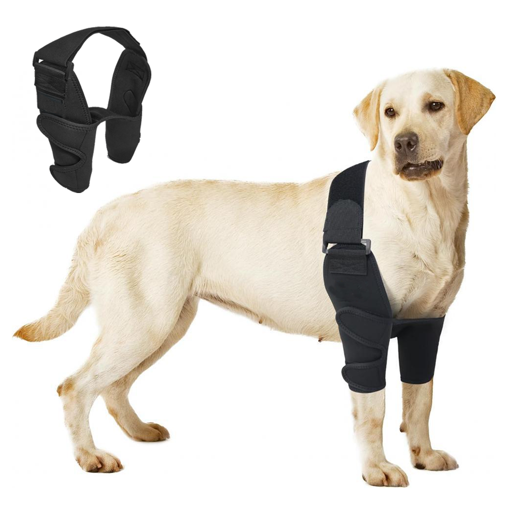 Dog Leg Set Rivet Dog Leg Braces for Support, Stability & Recovery – Pawsbetter