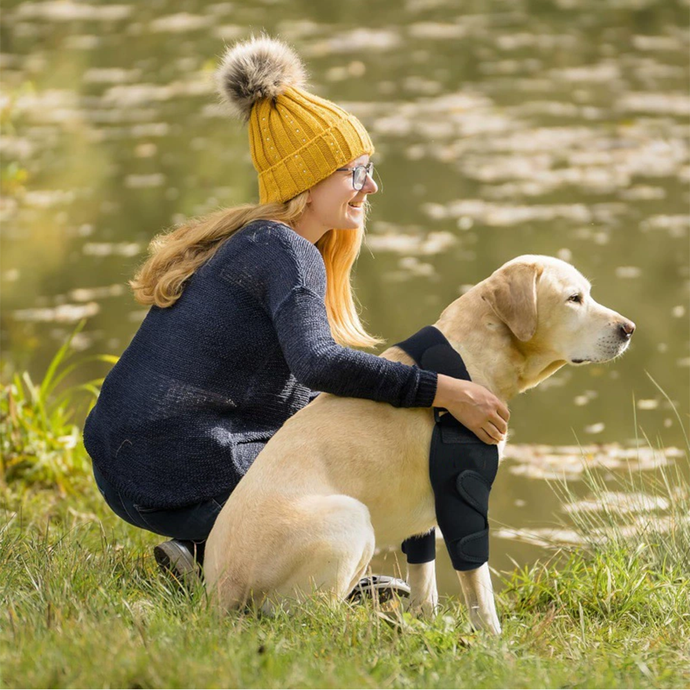 Dog Front Leg Support Harness Brace