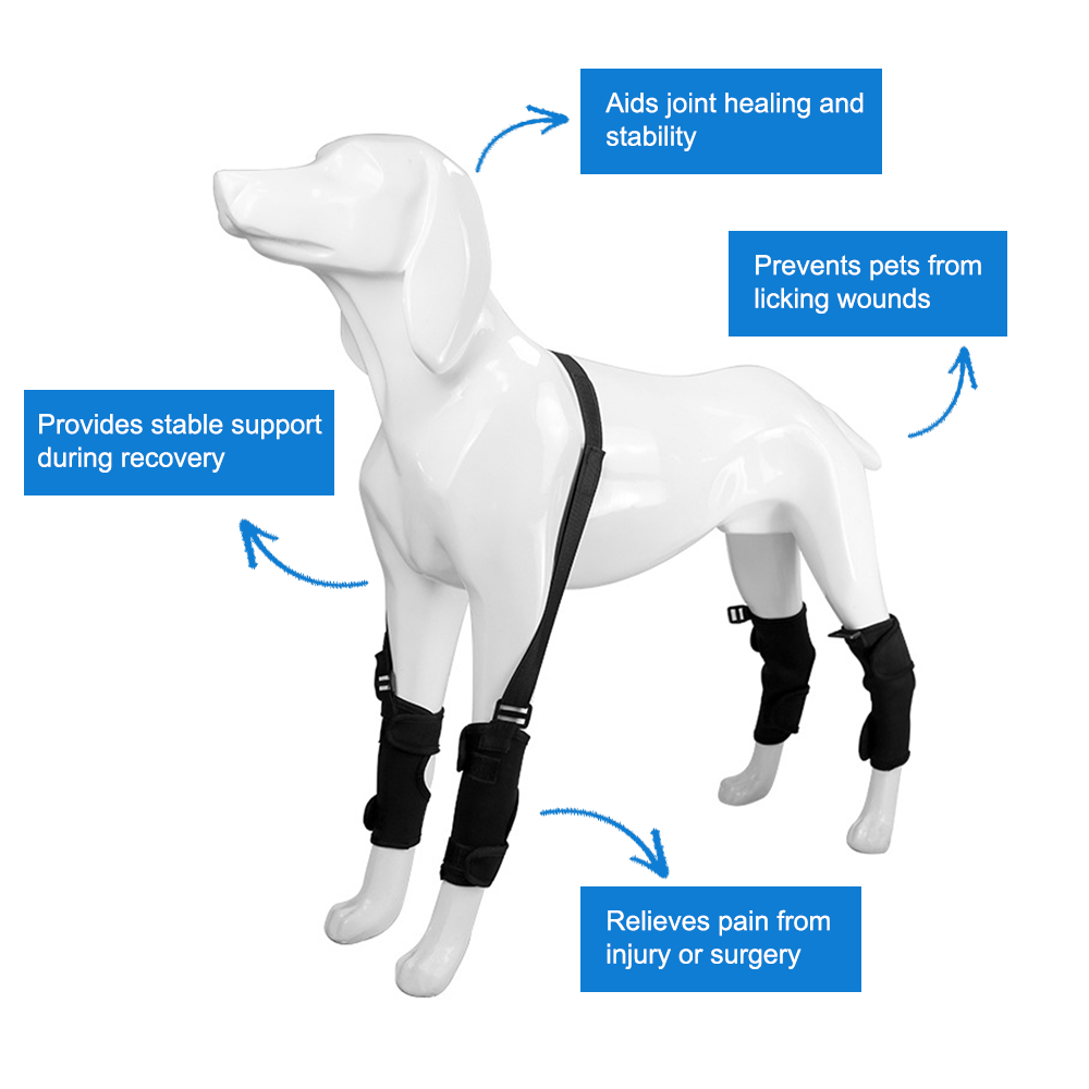 Dog Leg Set Rivet Dog Leg Support Brace with Lift Strap – Pawsbetter