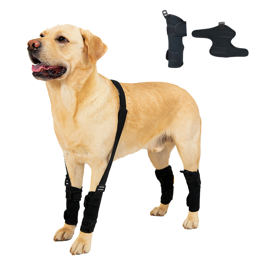 Dog Leg Support Brace with Lift Strap