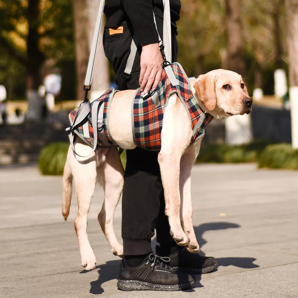 Dog Lift Harness for Front Legs – Pawsbetter - Main Image
