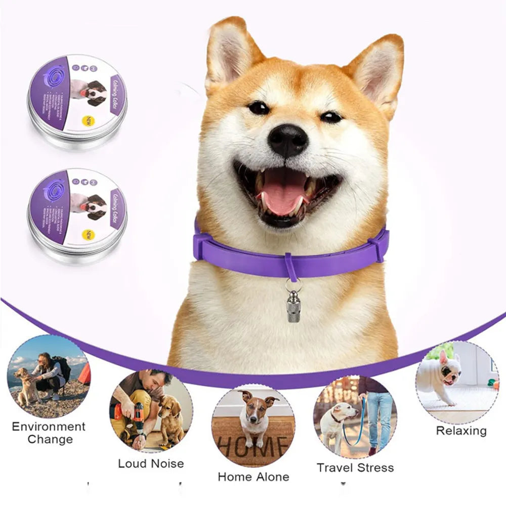 Beruhigendes Hundepheromonhalsband