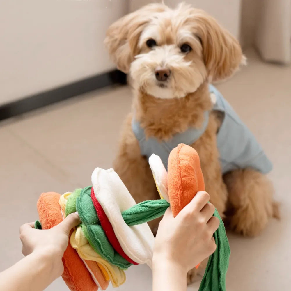 Hunde-Schnffelspielzeug - Futter Pawsbetter Hunde-Schnffelspielzeug - Futter Pawsbetter