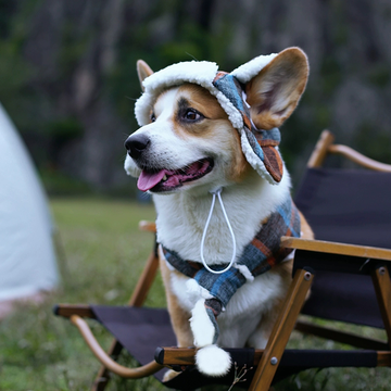 Dog Winter Aviator Hat