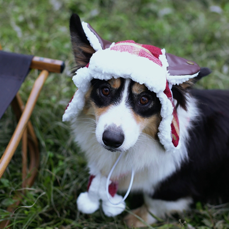 Dog Winter Aviator Hat